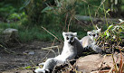 ZooParc de Beauval