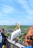 ZooParc de Beauval Entrée Nord