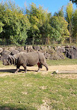 ZooParc de Beauval Entrée Nord