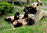 ZooParc de Beauval Entrée Nord