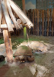 ZooParc de Beauval Entrée Nord