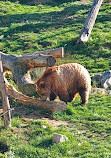 ZooParc de Beauval Entrée Nord