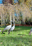 ZooParc de Beauval Entrée Nord