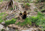 ZooParc de Beauval Entrée Nord