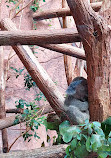 ZooParc de Beauval Entrée Nord