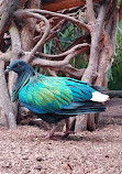 ZooParc de Beauval Entrée Nord