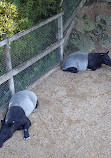 ZooParc de Beauval Entrée Nord