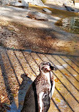 ZooParc de Beauval Entrée Nord