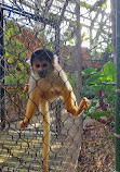 ZooParc de Beauval Entrée Nord