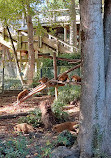 ZooParc de Beauval Entrée Nord