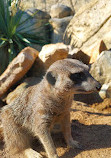 ZooParc de Beauval Entrée Nord