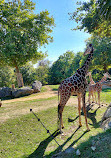 ZooParc de Beauval Entrée Nord