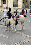 Plaza de Bolívar