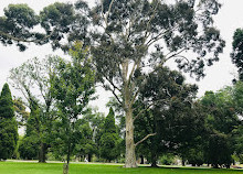 Alexandra Gardens