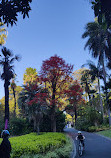 Alexandra Gardens