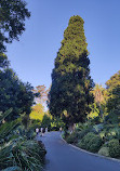 Alexandra Gardens