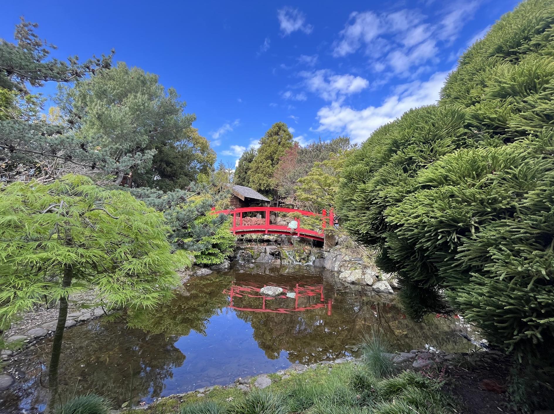 Japanese Garden