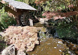 Japanese Garden