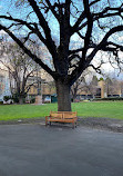 Parliament House Gardens