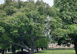 Parliament House Gardens