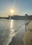 Manly Cove Beach