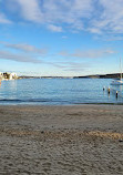 Manly Cove Tidal Pool