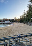 Manly Cove Tidal Pool