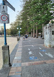 Manly Cove Tidal Pool