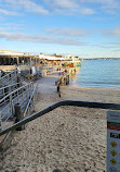 Manly Cove Tidal Pool