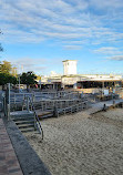 Manly Cove Tidal Pool