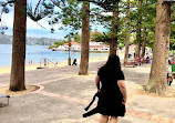 Manly Cove Tidal Pool