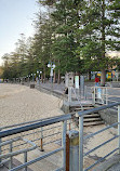 Manly Cove Tidal Pool