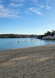 Manly Cove Tidal Pool