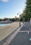 Manly Cove Tidal Pool