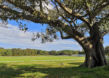 Centennial Park