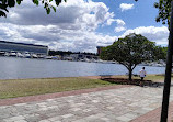 Glebe Point Park