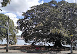 Glebe Point Park