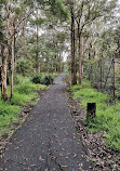 Bicentennial Park West Pymble