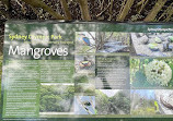 Badu Mangroves