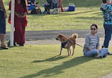 Blaxland Riverside Park