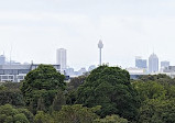 Blaxland Riverside Park