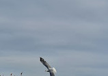 Blaxland Riverside Park