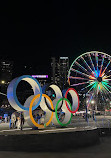 Olympic Rings