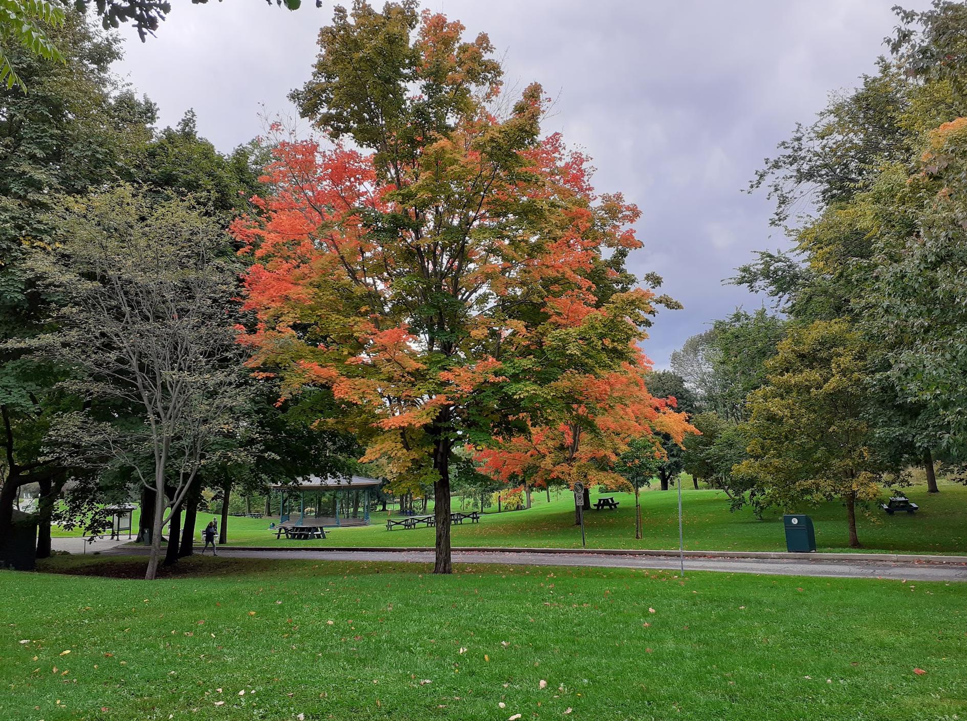 The Battlefields Park