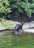 Moscow Zoo