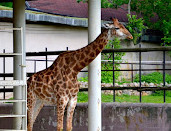 Moscow Zoo