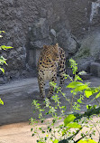 Moscow Zoo