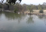 Safari Park Lake