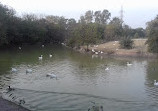 Safari Park Lake