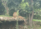 Zoológico de São Paulo